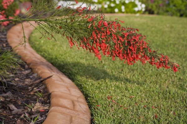 Brick Edging in Battle Ground