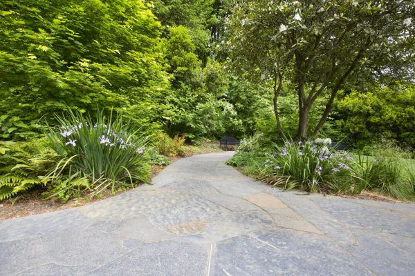 Stone Hardscape Service in Battle Ground